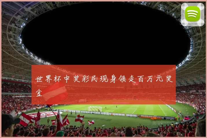 世界杯中奖彩民现身领走百万元奖金