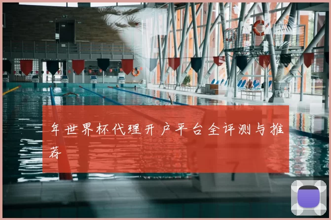 年世界杯代理开户平台全评测与推荐