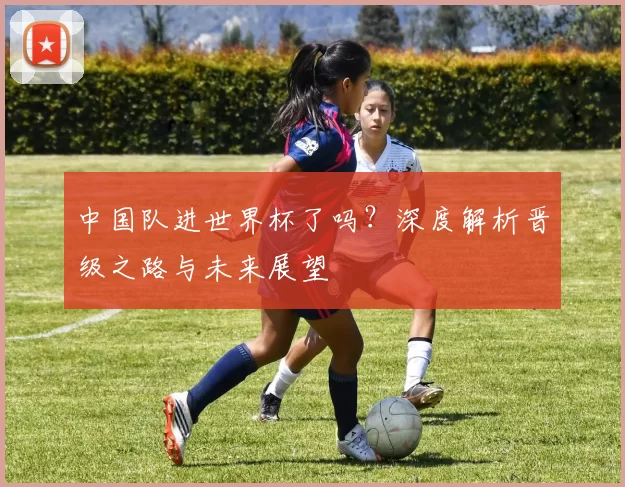 中国队进世界杯了吗?深度解析晋级之路与未来展望
