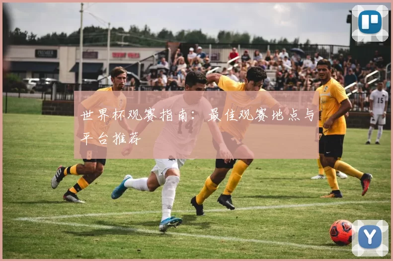 世界杯观赛指南:最佳观赛地点与平台推荐