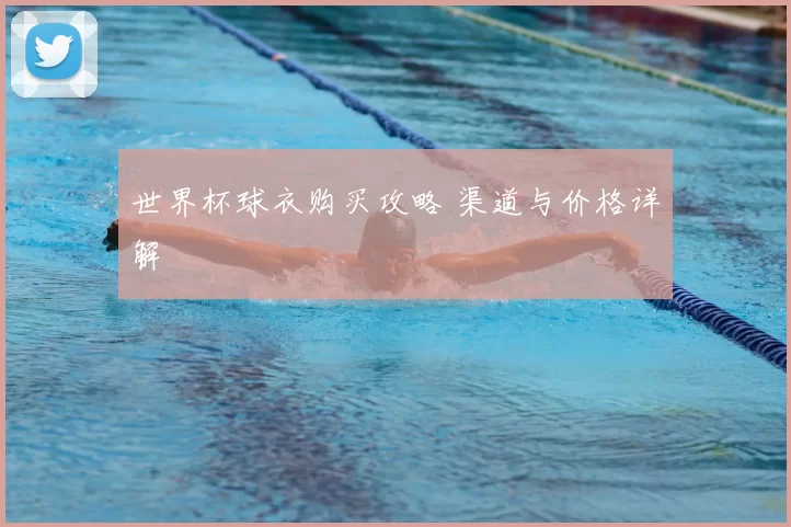 世界杯球衣购买攻略 渠道与价格详解