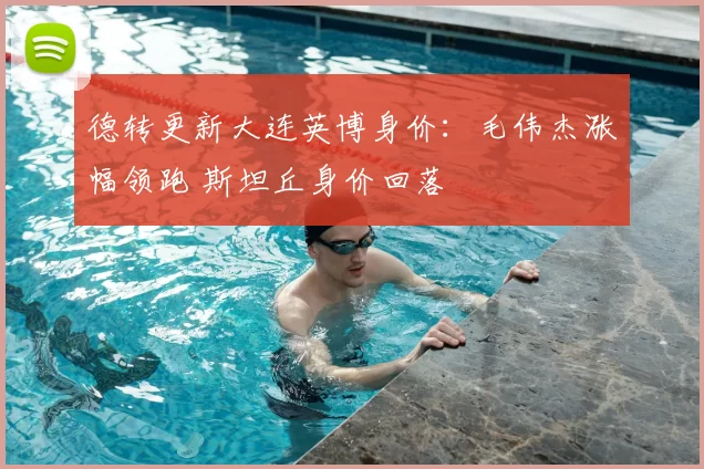 德转更新大连英博身价:毛伟杰涨幅领跑 斯坦丘身价回落