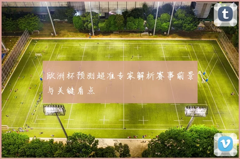 欧洲杯预测超准专家解析赛事前景与关键看点