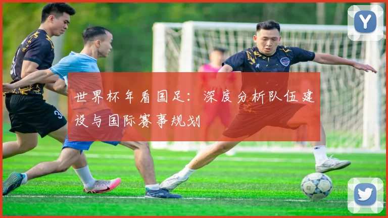 世界杯年看国足:深度分析队伍建设与国际赛事规划