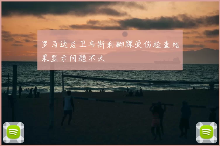 罗马边后卫韦斯利脚踝受伤检查结果显示问题不大