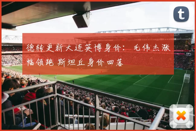 德转更新大连英博身价：毛伟杰涨幅领跑 斯坦丘身价回落