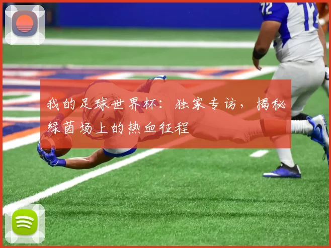 我的足球世界杯:独家专访,揭秘绿茵场上的热血征程