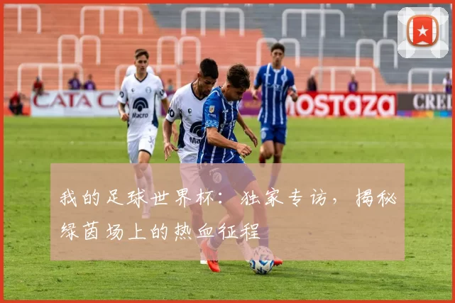我的足球世界杯:独家专访,揭秘绿茵场上的热血征程