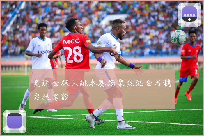 奥运会双人跳水赛场聚焦配合与稳定性考验