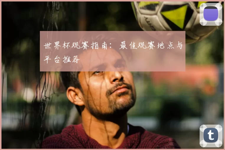 世界杯观赛指南：最佳观赛地点与平台推荐