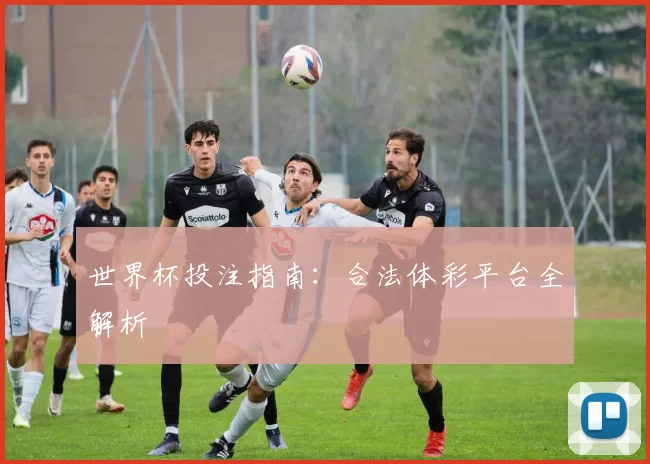 世界杯投注指南:合法体彩平台全解析