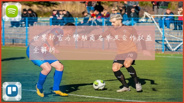 世界杯官方赞助商名单及合作权益全解析
